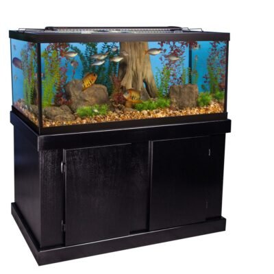 Majesty Aquarium Stand